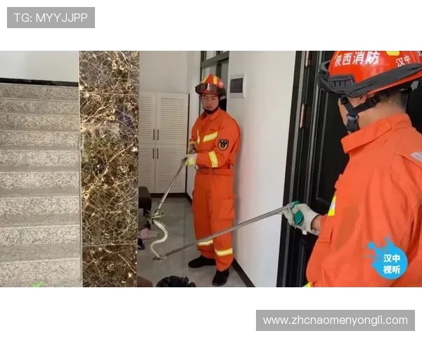 永利滚球安全保障措施详解，保障玩家资金与个人信息安全