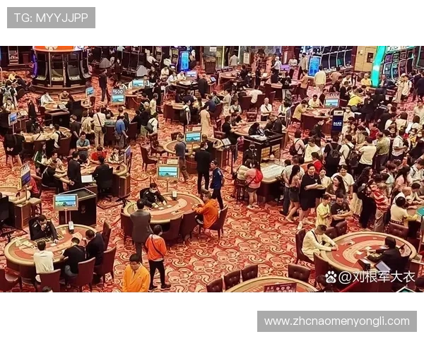 澳门哪个赌场人最多，适合新手和高端玩家的不同赌场选择指南