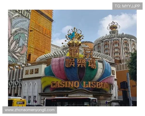 澳门几家大赌场的详细介绍与最新排名分析，帮助玩家选择最优娱乐体验