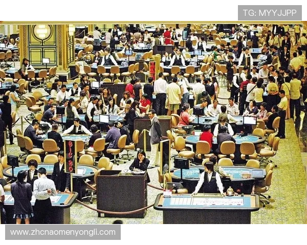 澳门十大博彩平台排名最新更新，提供最全面的用户体验与安全保障指南