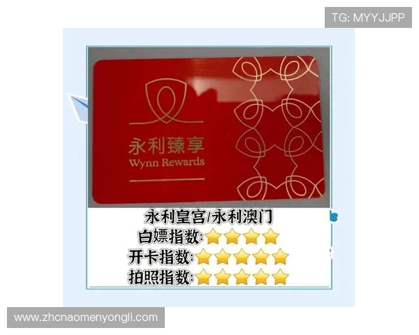 澳门永利皇宫登陆安全保障措施，保护玩家个人信息与资金安全