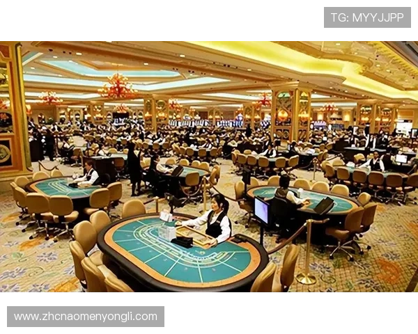 澳门的赌场总数及每家赌场的特色服务和客户群体介绍
